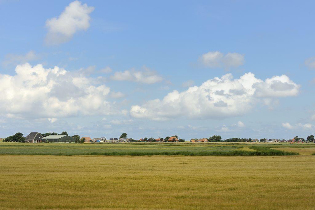 Beach-Dijkvilla Seaview Horizons Makkum Δωμάτιο φωτογραφία
